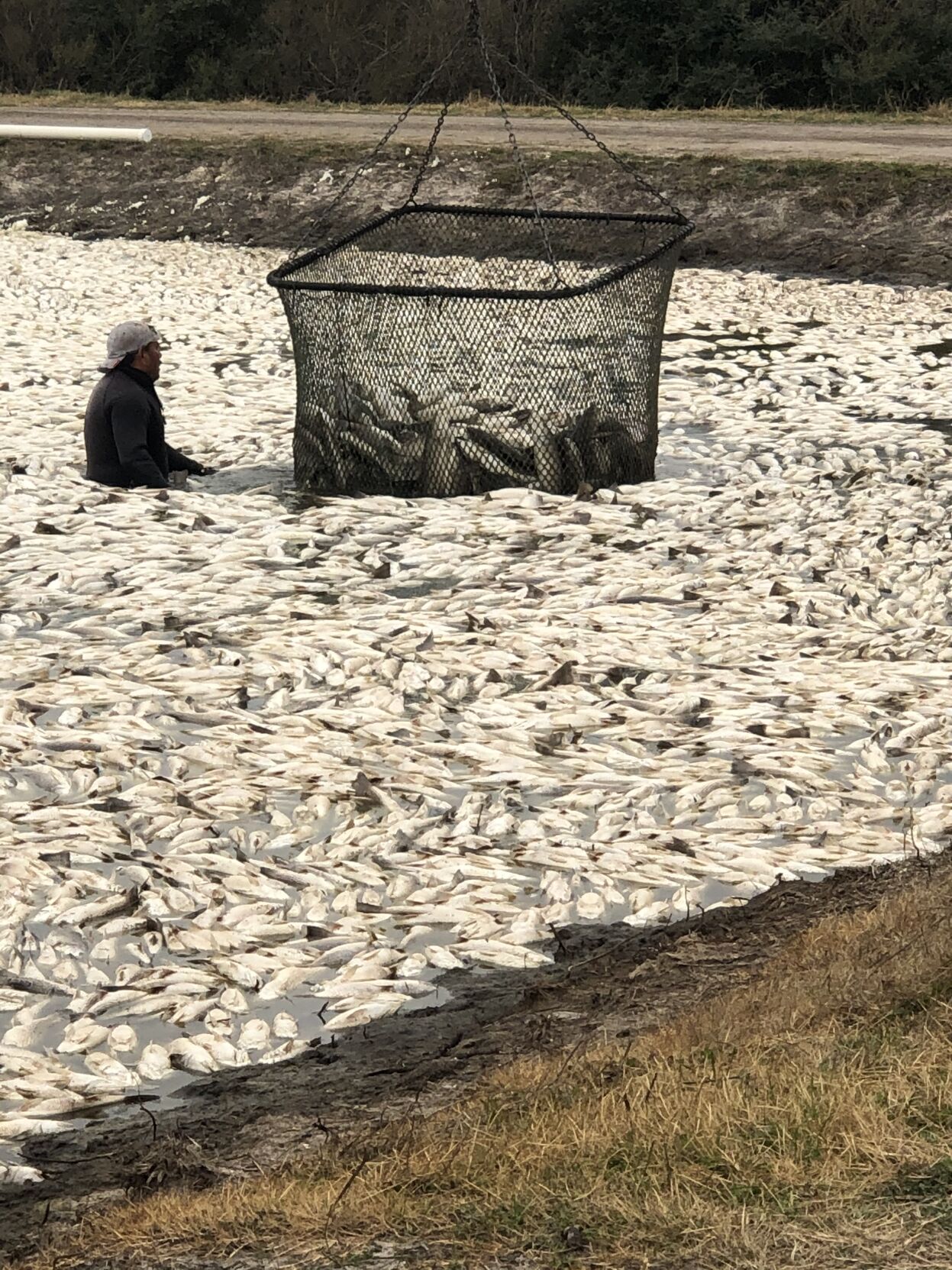 Redfish industry receives federal relief